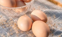 18岁网红吃瓜,18岁网红揭秘娱乐圈吃瓜大事件